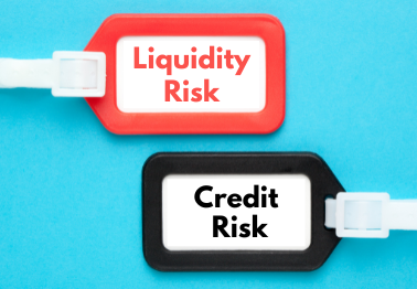 You are currently viewing What is Liquidity Risk and Credit Risk?