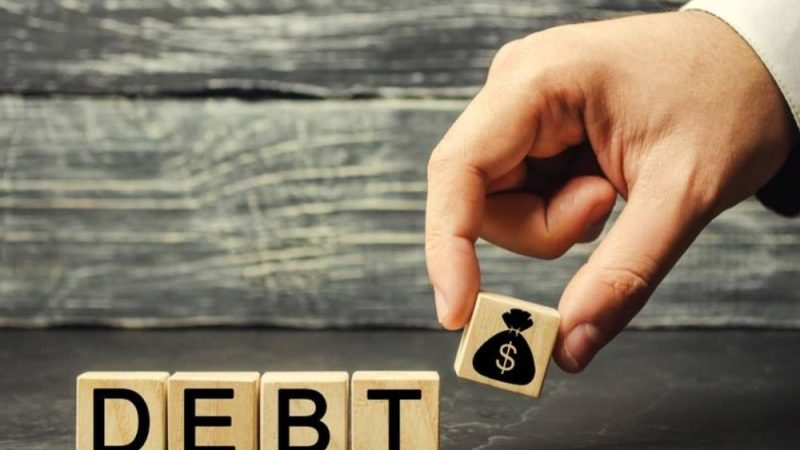 Debt Instruments – Overview, Examples, Advantages & Disadvantages