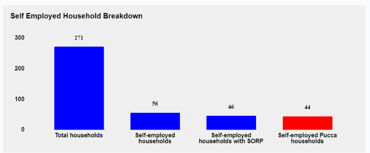 Self employed household breakdown in India