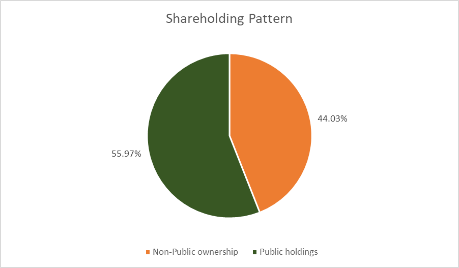 Financial Performance and Shareholding Pattern NSE