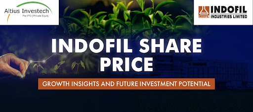 Indofil Share Price Journey: Monthly Performance from January to December 2024